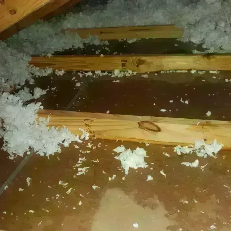 Attic Water Damage in Oktibbeha County, MS